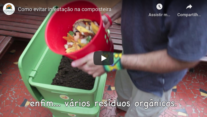 Imagem vídeo Como evitar infestação na composteira